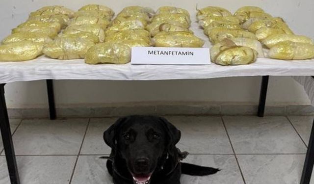 Hakkari’de TIR’dan 21 kilo 700 gram metamfetamin çıktı