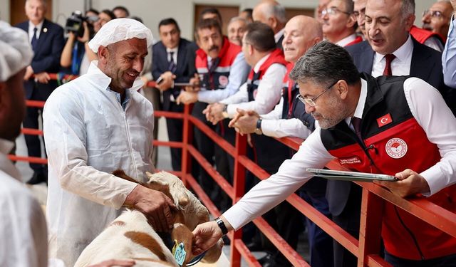 Hayvancılıkta Yeni Destek: Aşı ve Kimliklendirme Ücretsiz Olacak