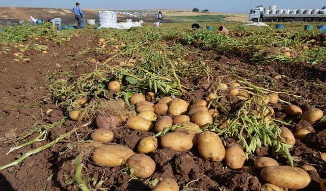 Tarımsal desteklerde yeni artış: Üreticiye daha fazla destek