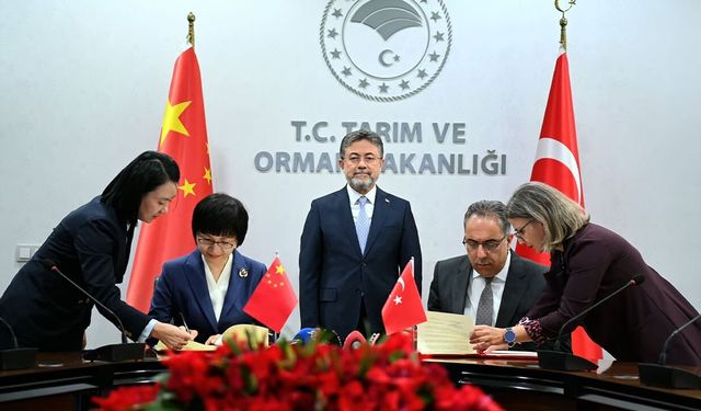 Türkiye’den Çin’e defne yaprağı ihracatında yeni dönem