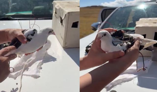 Van’da drone destekli kaçak av denetimi