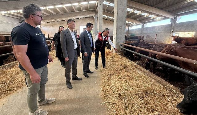 Van’da hayvancılığa güç katacak merkezde inceleme