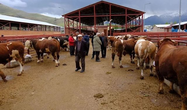 Van'da hayvancılık yapanların dikkatine! Yeni yönetmelik Resmi Gazete'de...