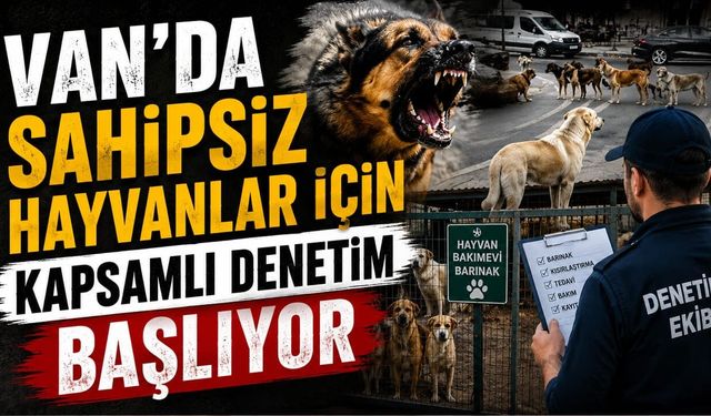 Van’da sahipsiz hayvanlar için kapsamlı denetim başlıyor