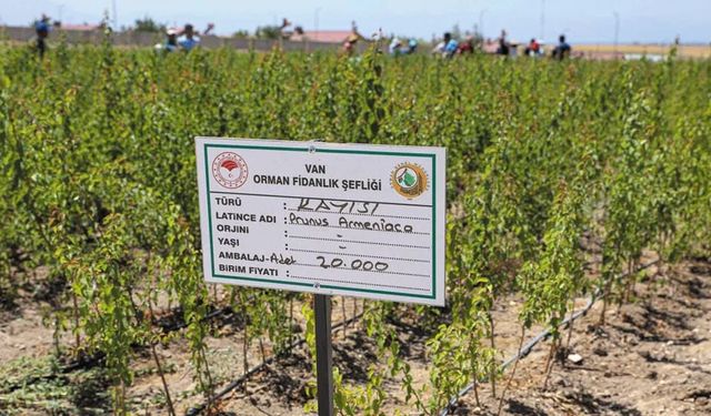 Vanlı çiftçilere fidan desteği: 5 çeşit meyve fidanı 10 TL