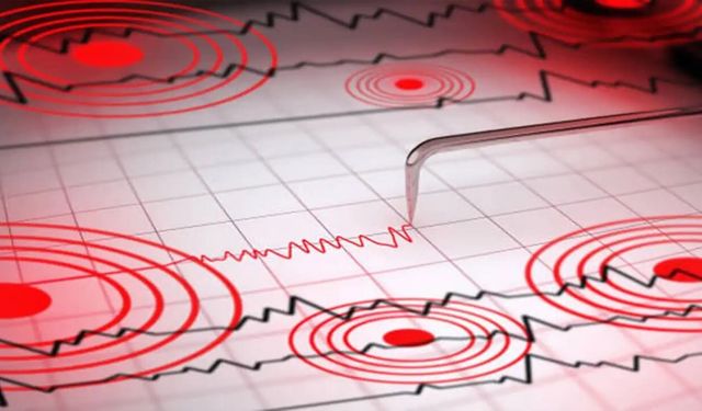 Yeni Kaledonya açıklarında 6,6 büyüklüğünde deprem paniği
