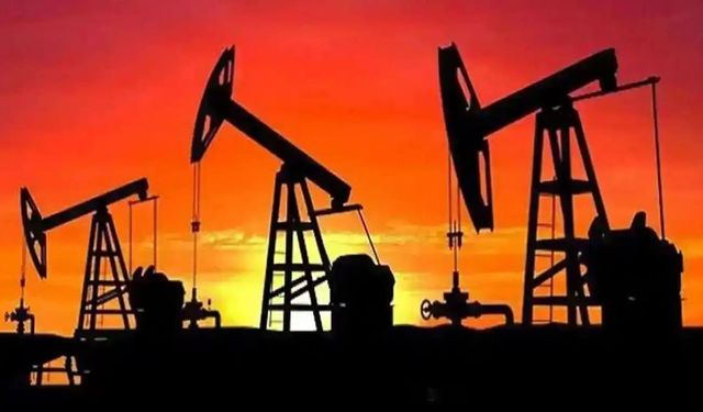 Brent petrolün varil fiyatı 101,69 doları gördü