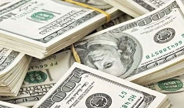 Dolar 49,20 liranın üzerine çıktı