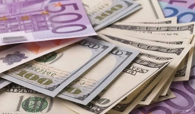 Döviz piyasalarında güncel görünüm: Dolar 49,20 TL