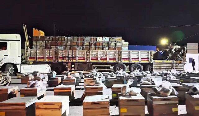 Hakkari'de dev narkotik operasyonu: Arı Kovanlarının Arasında ele geçirildi