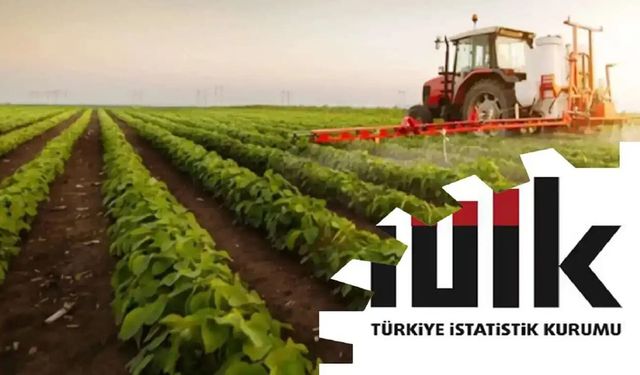 Tarım ürünlerinde yıllık fiyat artışı yüzde 12,93’e ulaştı