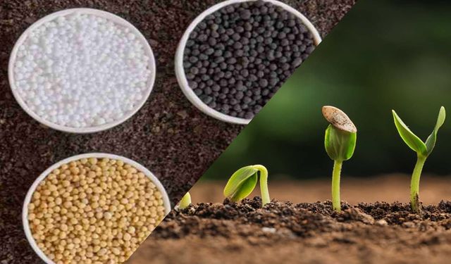 Tarımda küresel güç mücadelesi: Tohum ve gübre piyasasını kim yönetiyor?