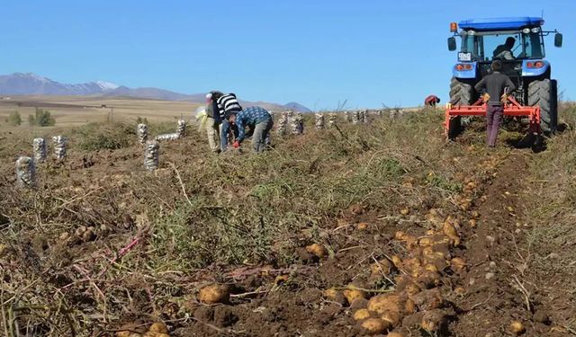 Türkiye’de tarımsal kooperatiflerin sayısı 8 bin 933’e ulaştı