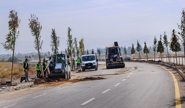 Van Gölü Sahil Yolu’nda ağaçlandırma çalışmaları sürüyor