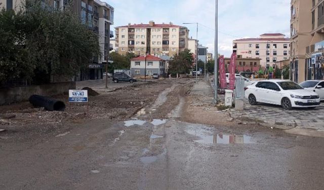 Van’da 2 aydır çözüm bekleyen yol sorunu tepki çekiyor