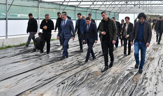 Van’da 200 çilek serası kurulacak
