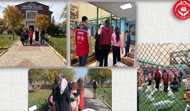 Van’da çocuklara dijital detoks: Van kedileriyle keyifli buluşma!