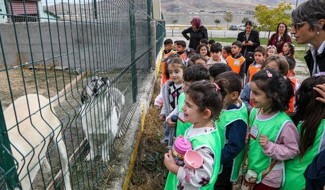 Van’da minik öğrencilerden Hayvan Bakım Merkezi'ne ziyaret
