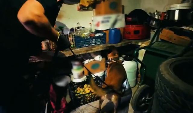 Van’ın da aralarında bulunduğu 78 ilde dev operasyon