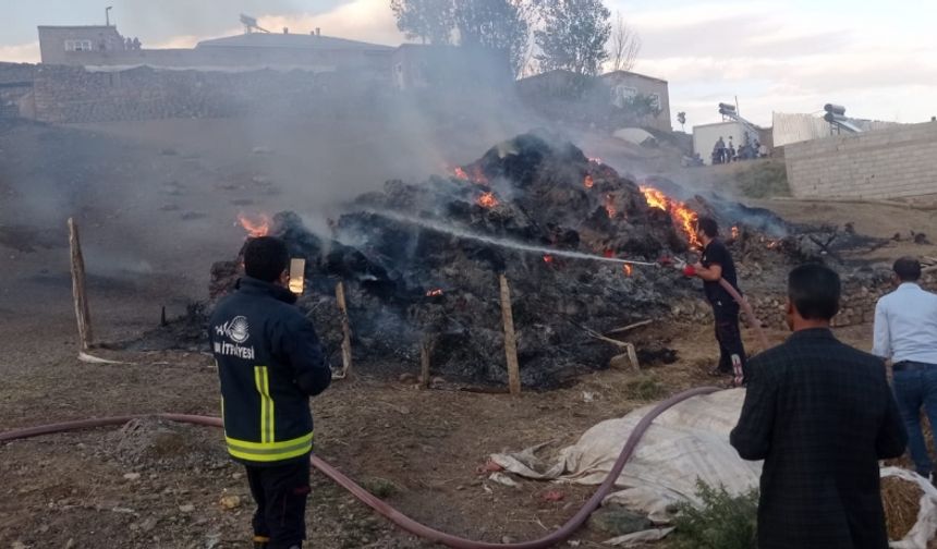 Van'da iki kişiye ait 8 bin bağ ot yandı