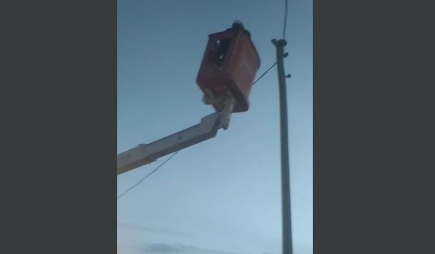 Van'da direkte mahsur kalan kediyi VEDAŞ ekipleri kurtardı