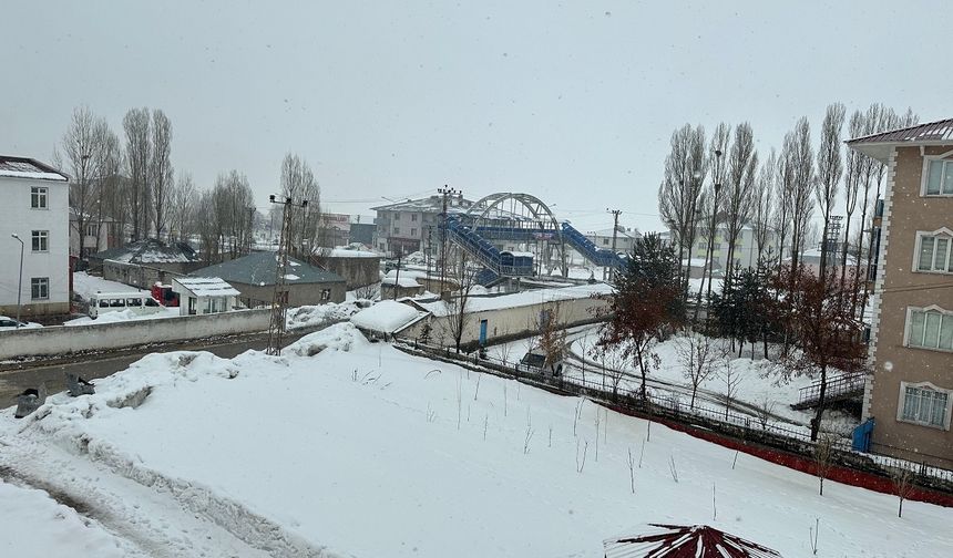 Van Çaldıran'da kar yağışı etkili oluyor