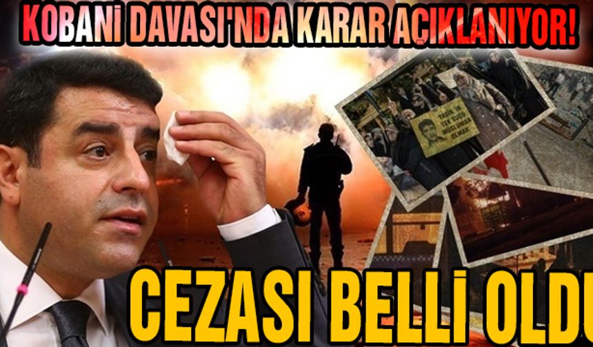 Selahattin Demirtaş'ın cezası belli oldu!
