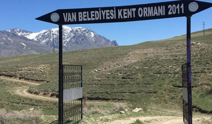 Van’da orman da yok etkinlik alanı da…