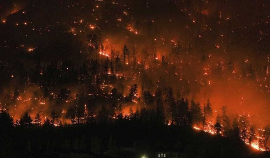 Kanada'da meydana gelen orman yangınları, yaklaşık 100 bin hektarlık alana yayıldı