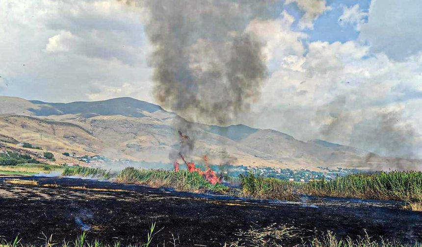 Van’da sazlık alanda yangın!