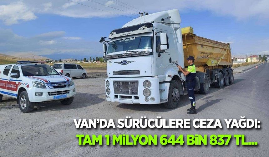 Van’da sürücülere ceza yağdı: 164 araç trafikten men edildi