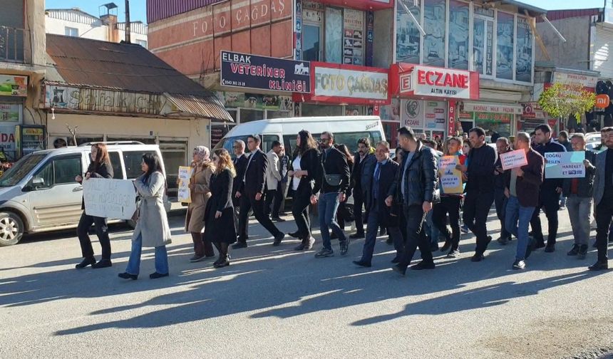 Başkale'de diyabet farkındalık yürüyüşü yapıldı