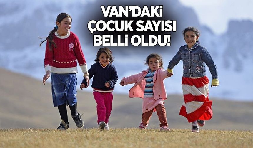 Van’daki çocuk sayısı belli oldu! 81 il arasında 9’uncu…