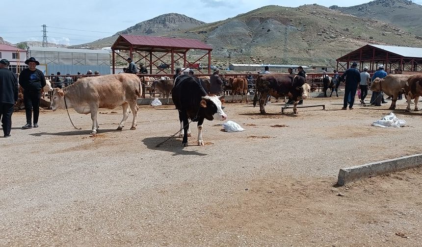 Tuşba’da kurban satış ve kesim yerleri açıklandı
