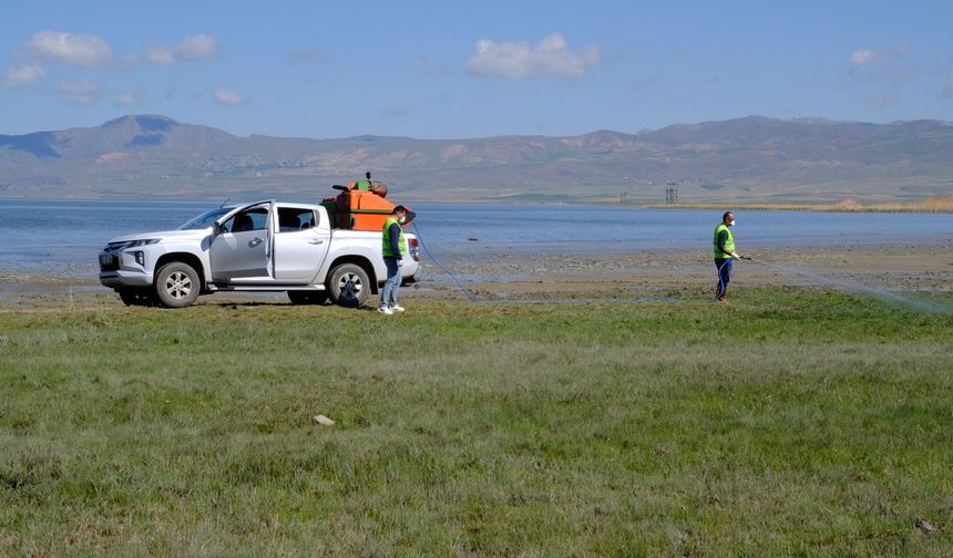 Van'da sineklerle mücadele başladı
