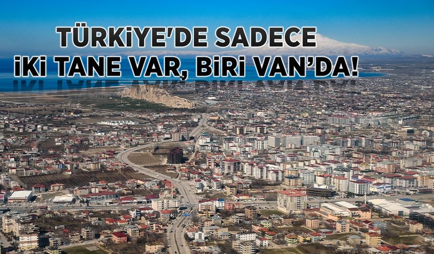 Türkiye'de sadece iki tane var, biri Van’da! Gizemli yapının hikayesi…