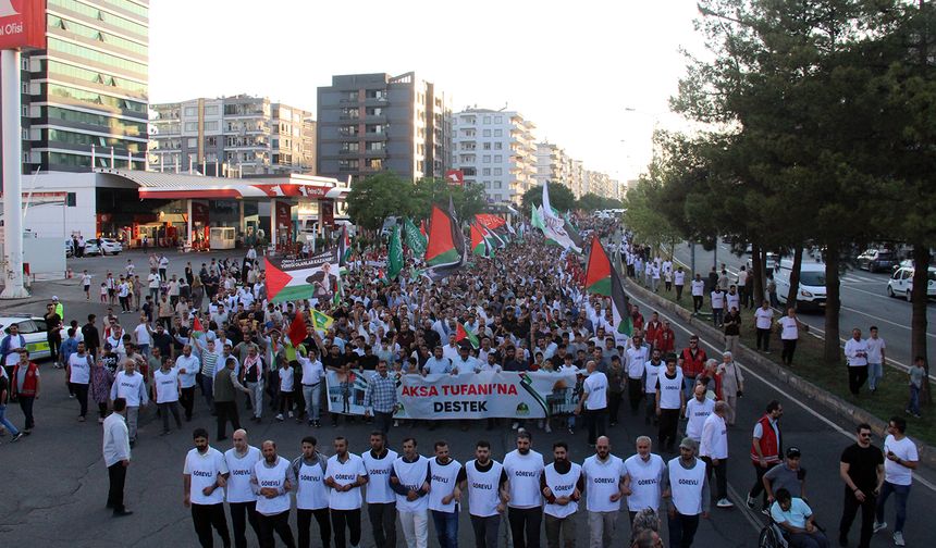 Diyarbakır'da "Küresel Gazze Yürüyüşü" düzenlendi