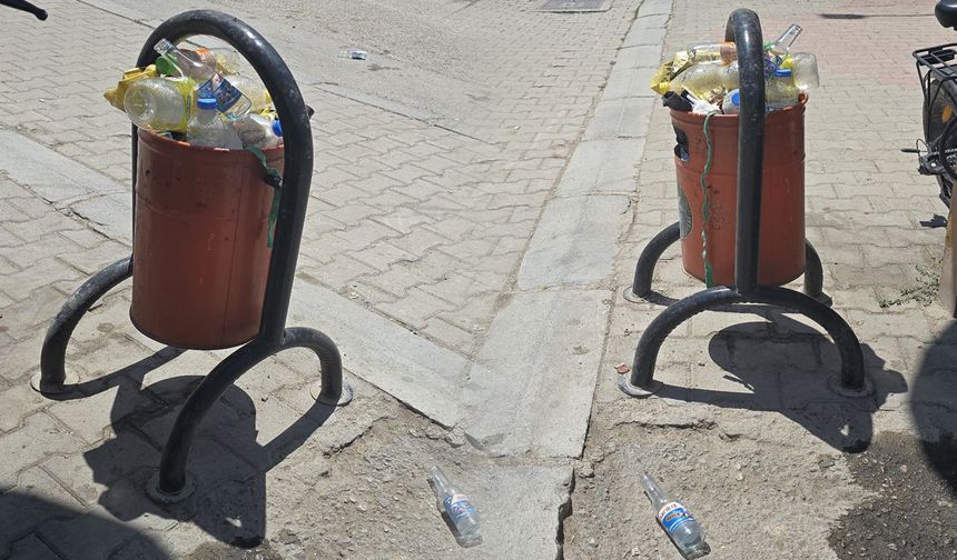 Van’da çöp sorunu giderek büyüyor! Çöp kutuları dolup taştı