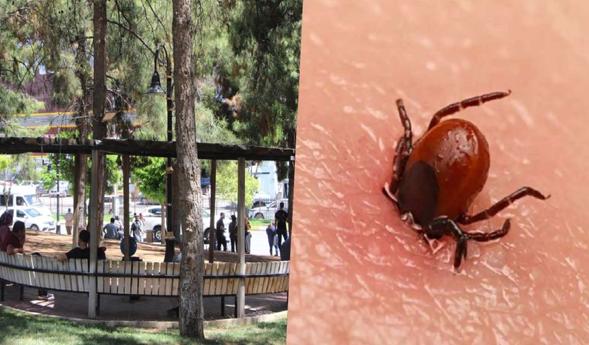 6 kişi hayatını kaybetti: KKKA'ya karşı dikkat edilmesi gerekenler?