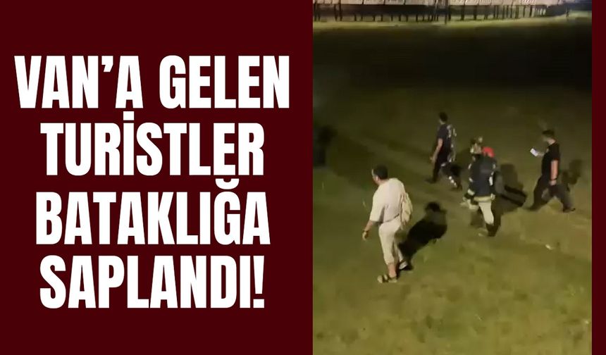 Van’a gelen turistler bataklığa saplandı!