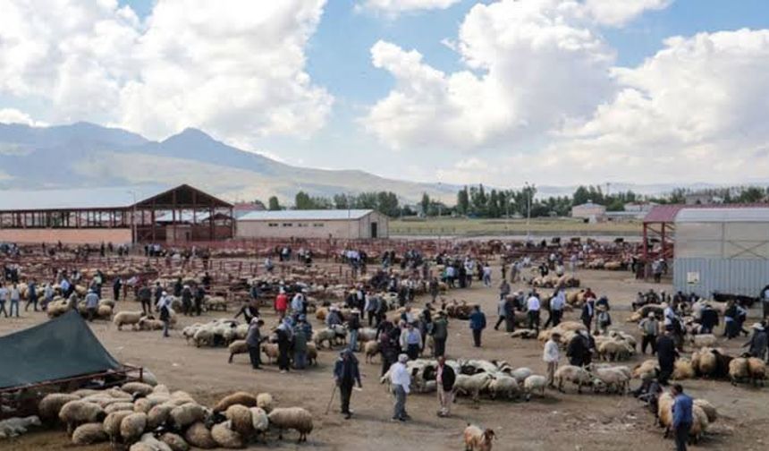 Van hayvan pazarı yeniden açıldı