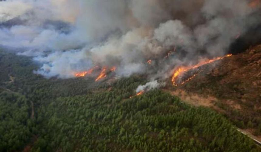 Hakkari'de orman yangını  kontrol altına alınamıyor
