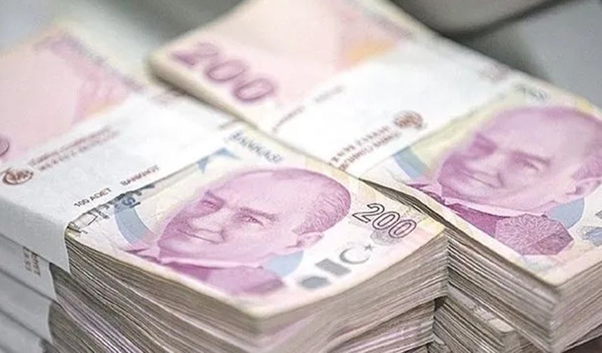 Ekim ayı yaşlı ve engelli aylıkları hesaplara yatırıldı