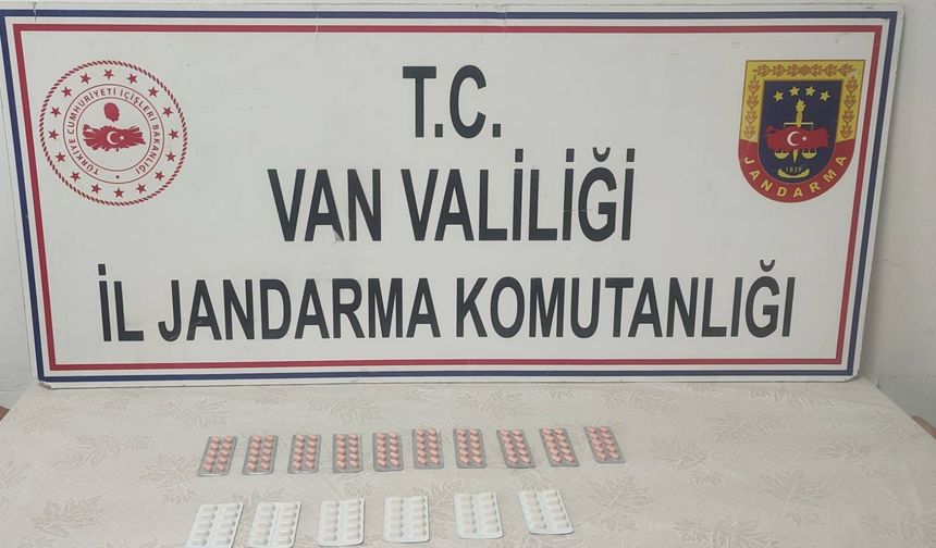 Van’ın Başkale ilçesinde sentetik hap ele geçirildi