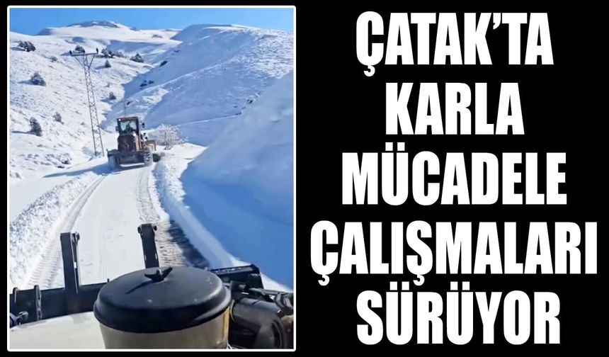 Çatak’ta karla mücadele çalışmaları sürüyor