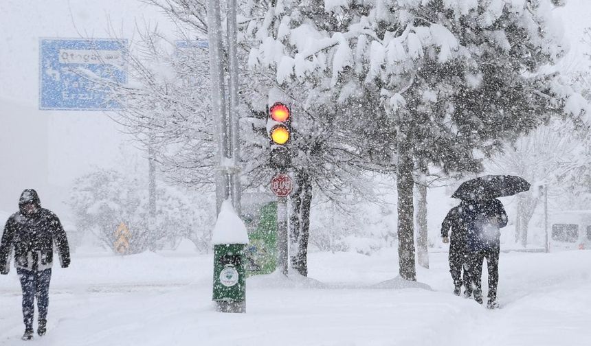 Van Bahçesaray Kaymakamlığı'ndan önemli uyarı