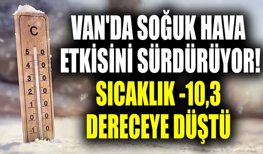 Van'da soğuk hava etkisini sürdürüyor! Sıcaklık -10,3 dereceye düştü