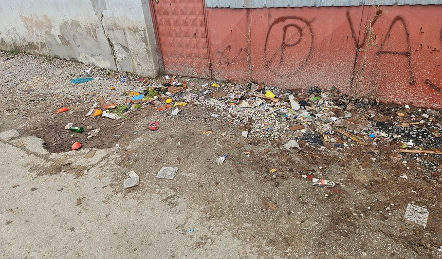 Van'da Tuşba sokaklarını çöp götürüyor