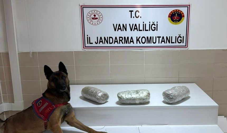 Gevaş’ta operasyon: 3 kilo esrar ele geçirildi