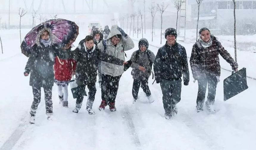 Van'da kaymakamlıktan kar tatili açıklaması! Okullar yarın tatil